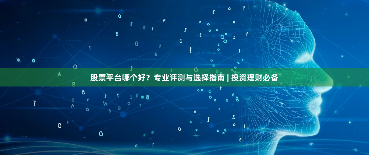 股票平台哪个好？专业评测与选择指南 | 投资理财必备