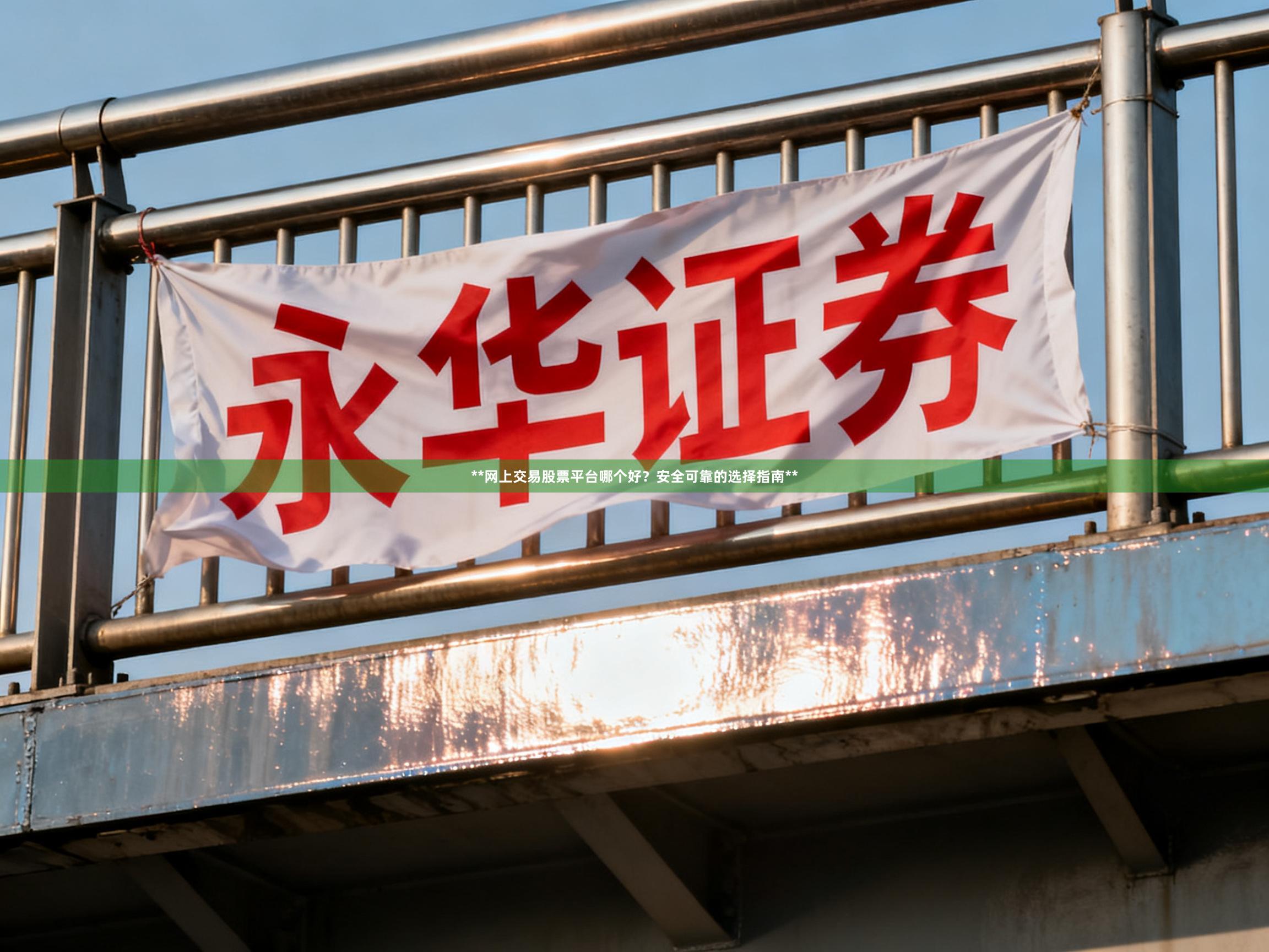 **网上交易股票平台哪个好？安全可靠的选择指南**