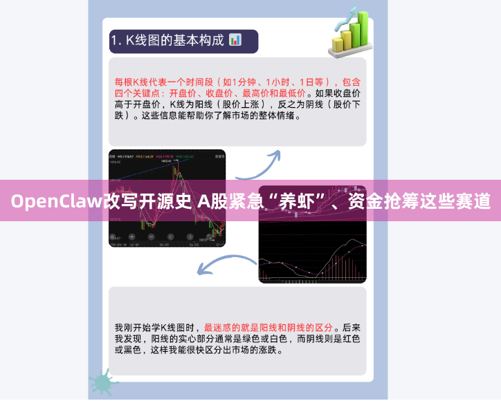 OpenClaw改写开源史 A股紧急“养虾”、资金抢筹这些赛道