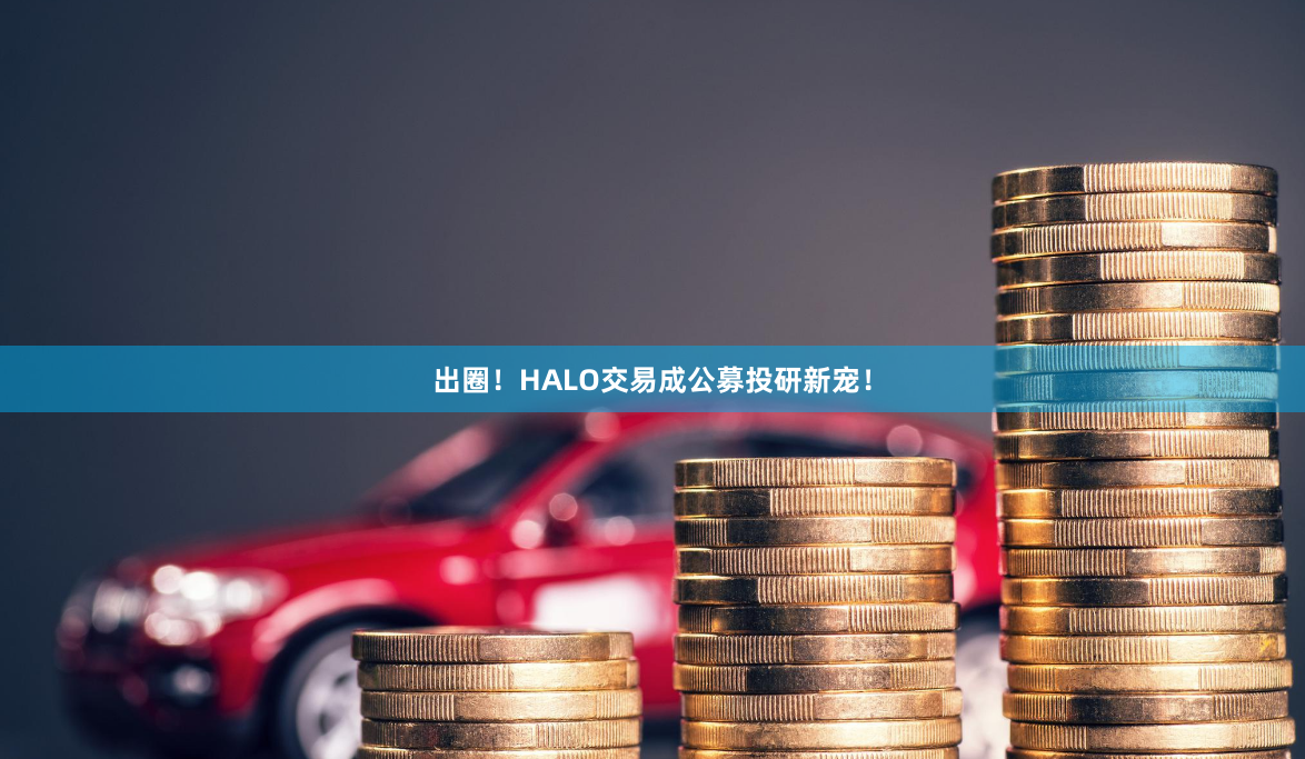 出圈！HALO交易成公募投研新宠！