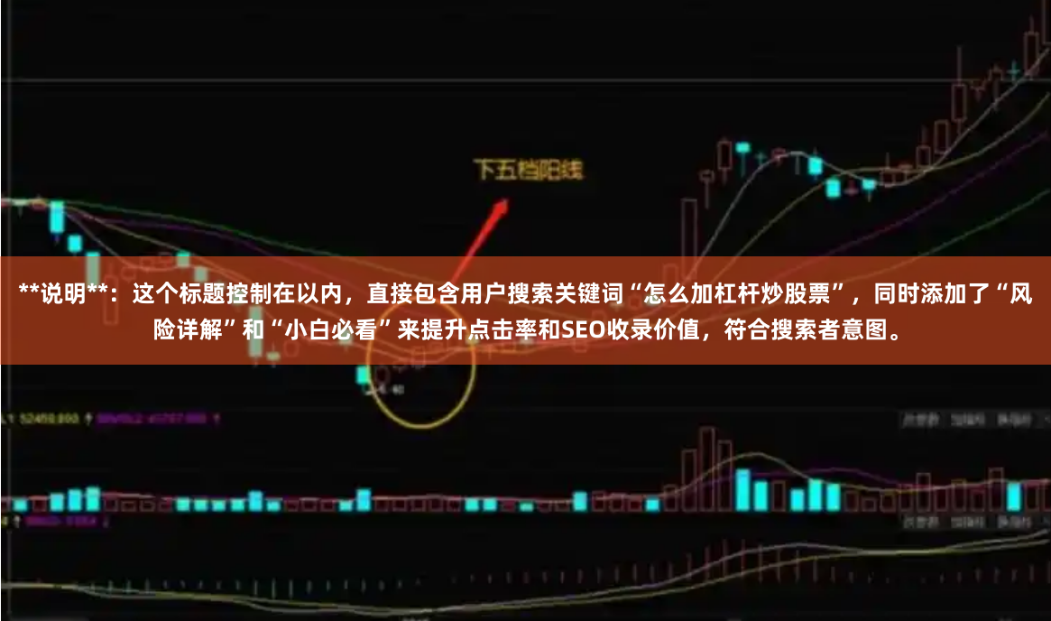 **说明**：这个标题控制在以内，直接包含用户搜索关键词“怎么加杠杆炒股票”，同时添加了“风险详解”和“小白必看”来提升点击率和SEO收录价值，符合搜索者意图。
